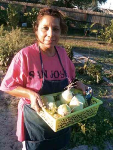 Sharing Success in a Vegetable Garden